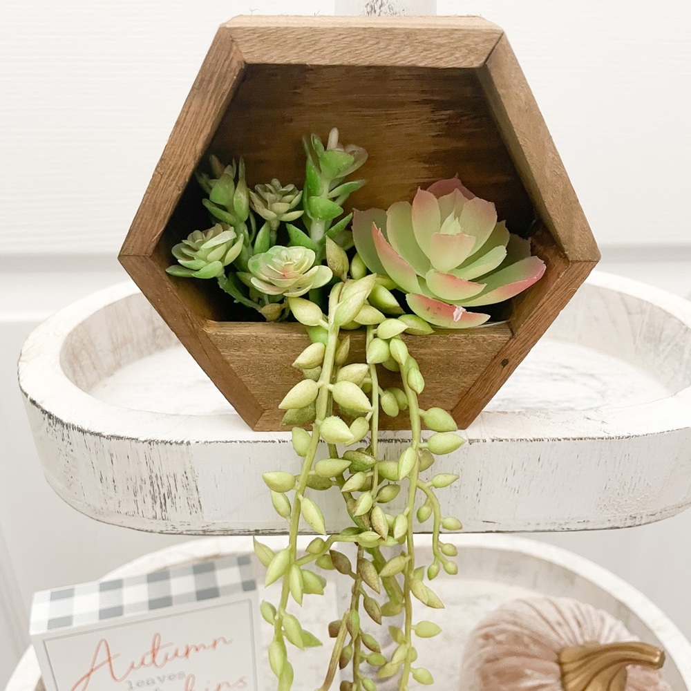 Small succulent wood box arrangement